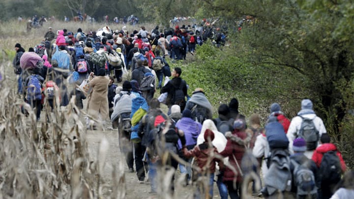 Flüchtlingskrise: «Es braucht eine gesamteuropäische Lösung»