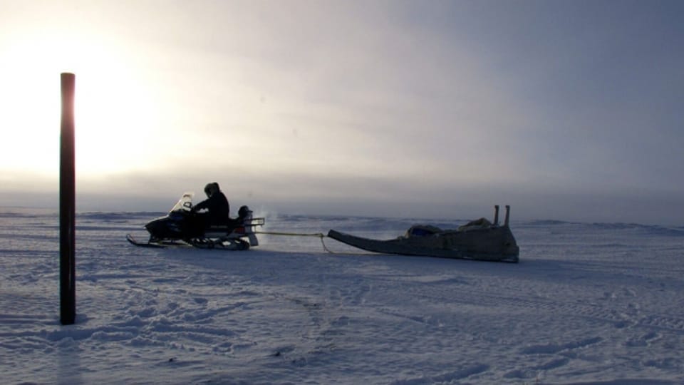Arktis: «Wir haben hier eine tickende Zeitbombe»
