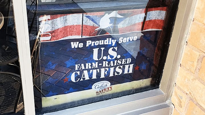 «Reality Check»: US-Catfish-Farmer als Verlierer des Welthandels