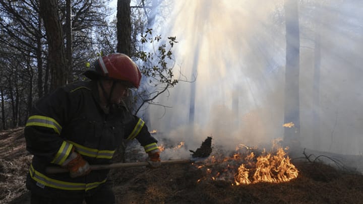 Italien fordert Hilfe gegen Waldbrände an