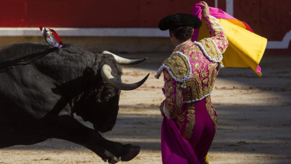Spanien: Das Ende des Stierkampfs?