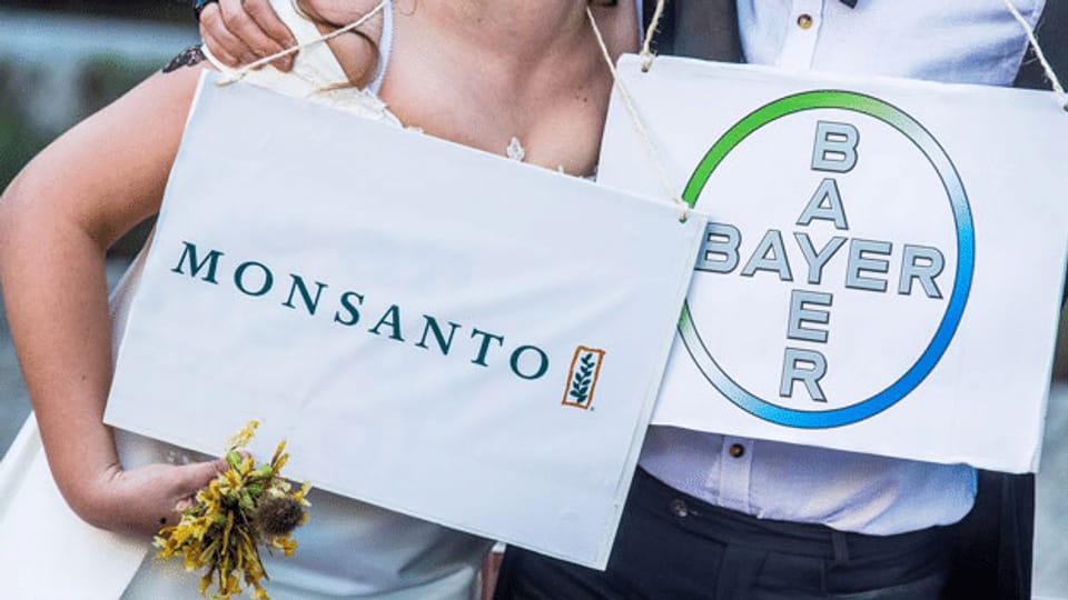 Schweizer Bauern sorgen sich wegen Monsanto-Übernahme