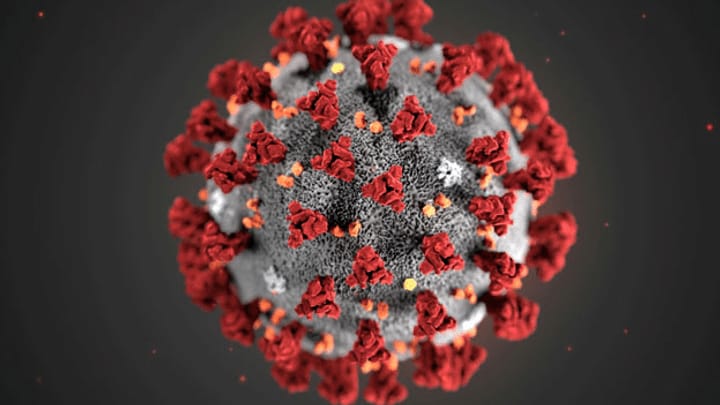 Wie wird sich das Corona-Virus verhalten?