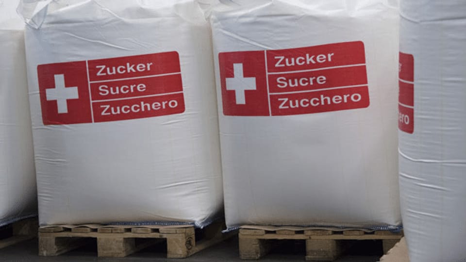 Schweiz bald ohne eigene Zucker-Produktion?