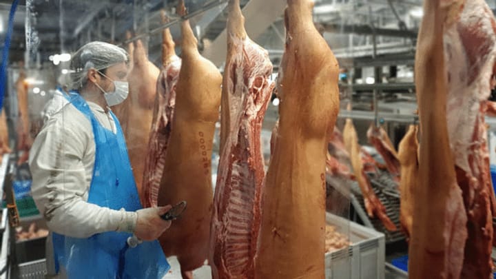Besserer Arbeitsschutz für deutsche Fleischindustrie
