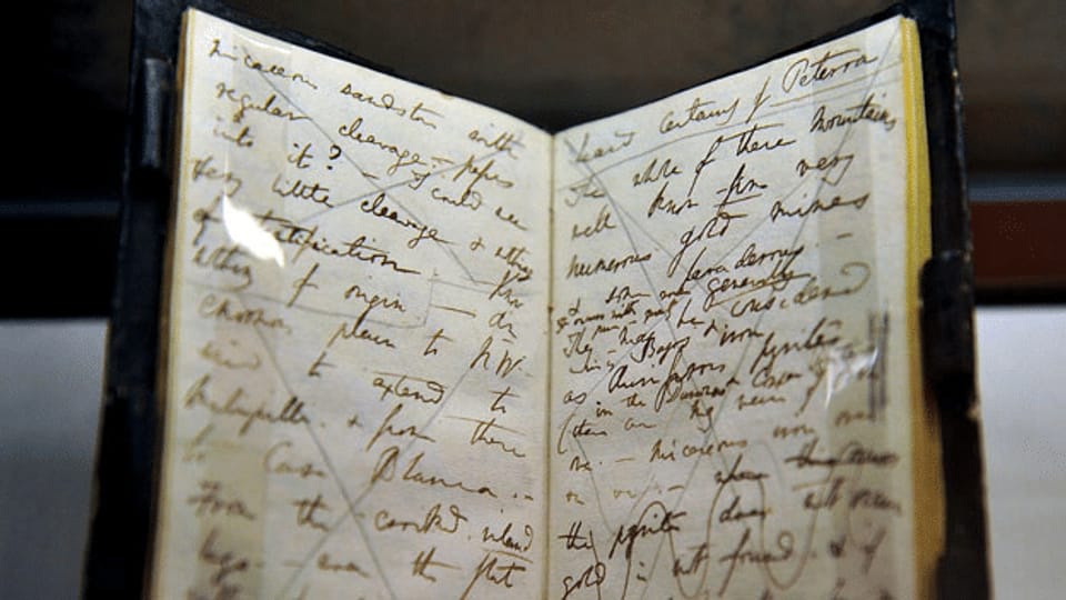 Darwins Notizbücher sind verschwunden