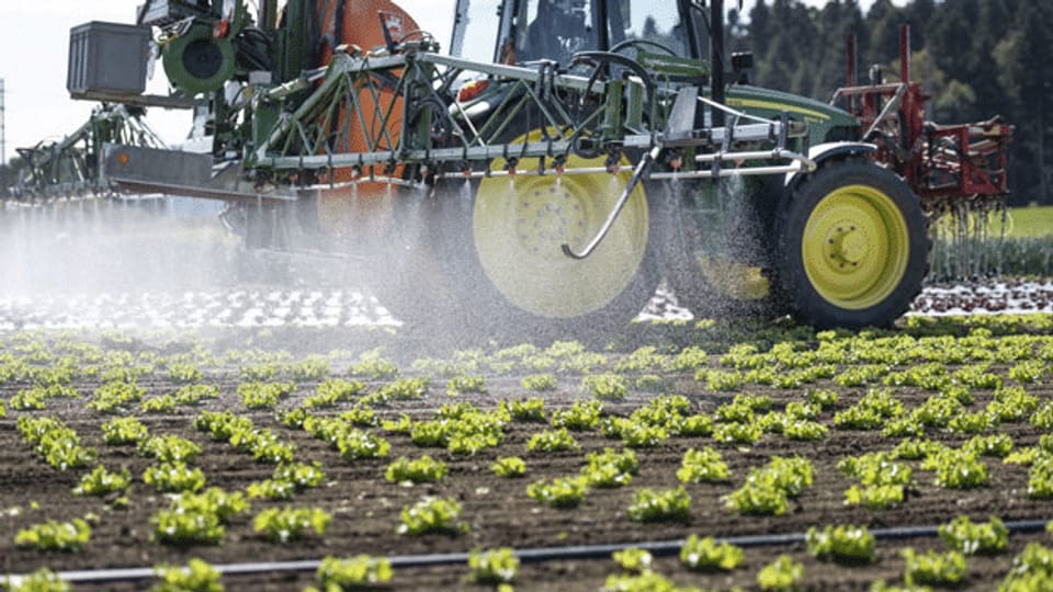 Agrarinitiativen: Gegenvorschlag des Bundesrats