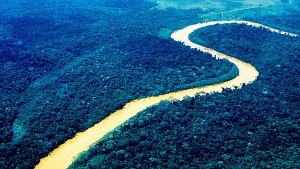 Private Regenwald-Adoption im Amazonasgebiet