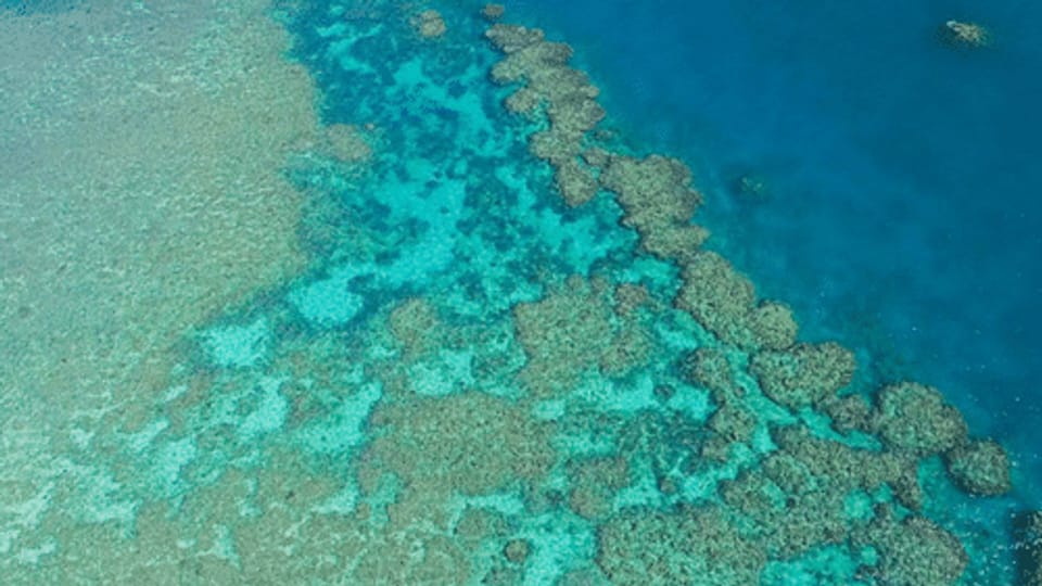 Great Barrier Reef, das gefährdete Welterbe