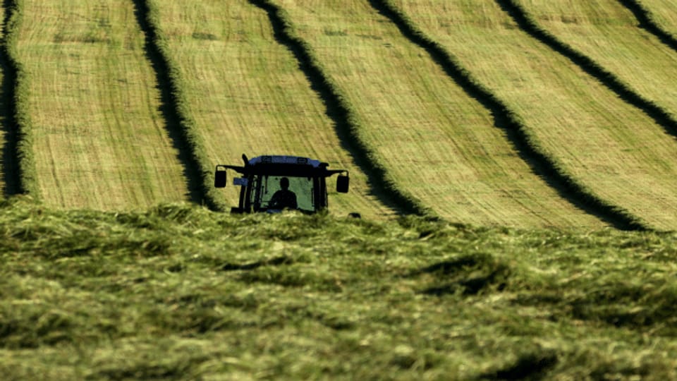 Agrarreform in der EU nimmt wichtige Hürde