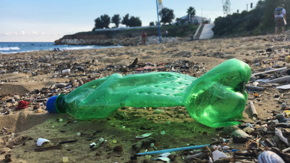 «Die Konzentration kleiner Plastikteile in der Umwelt nimmt zu»
