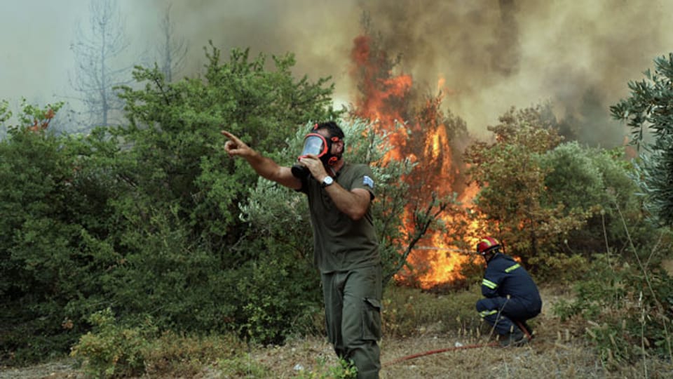 Waldbrände in Griechenland: Der Schock sitzt tief