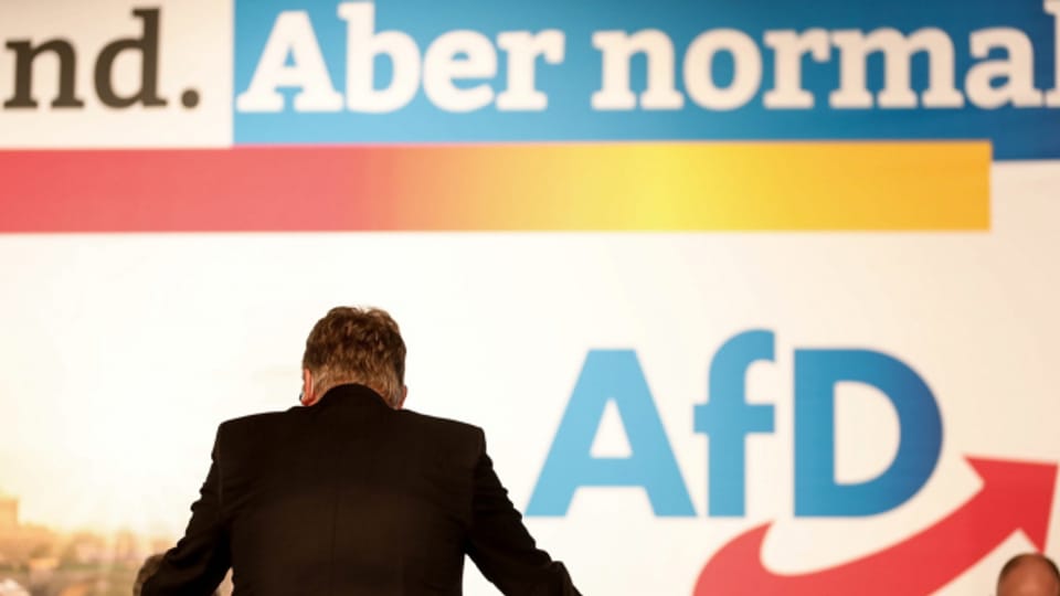 Wohin driftet die deutsche Partei AfD?