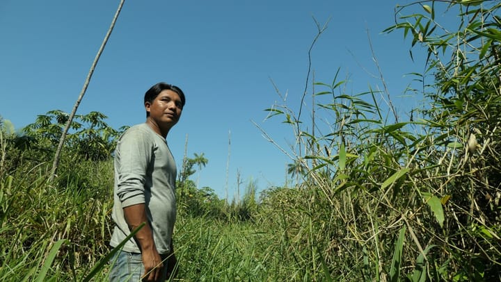 Kahlschlag – Amazonien unter Bolsonaro