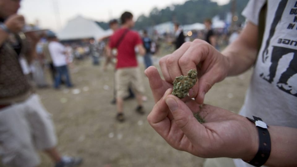 Cannabis-Legalisierung: Schwere Folgen für Jugendliche?