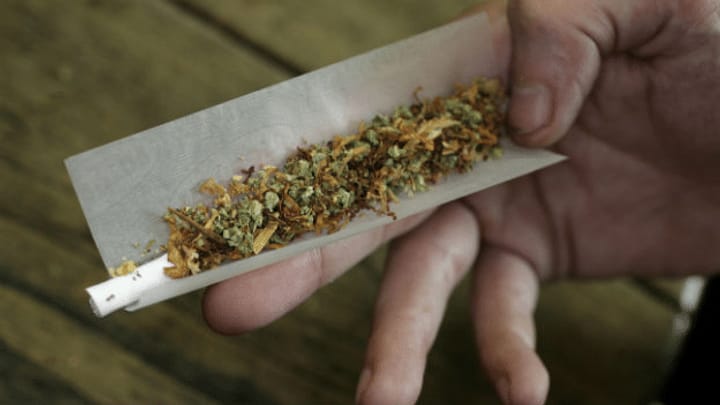 Steigender THC-Gehalt im Cannabis beschäftigt Fachleute