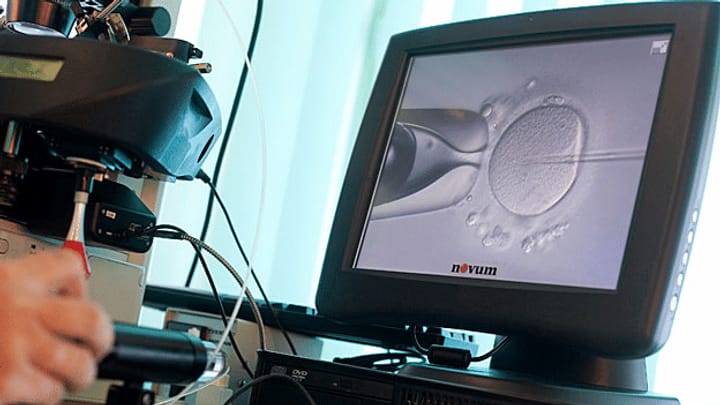Nationalrat für Chromosomentests an Embryos