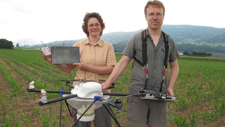 Drohnen gegen den Maiszünsler