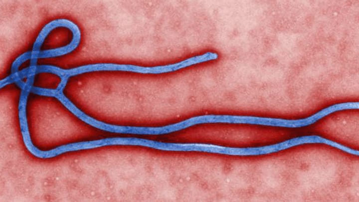 Kommt Ebola in die Schweiz?
