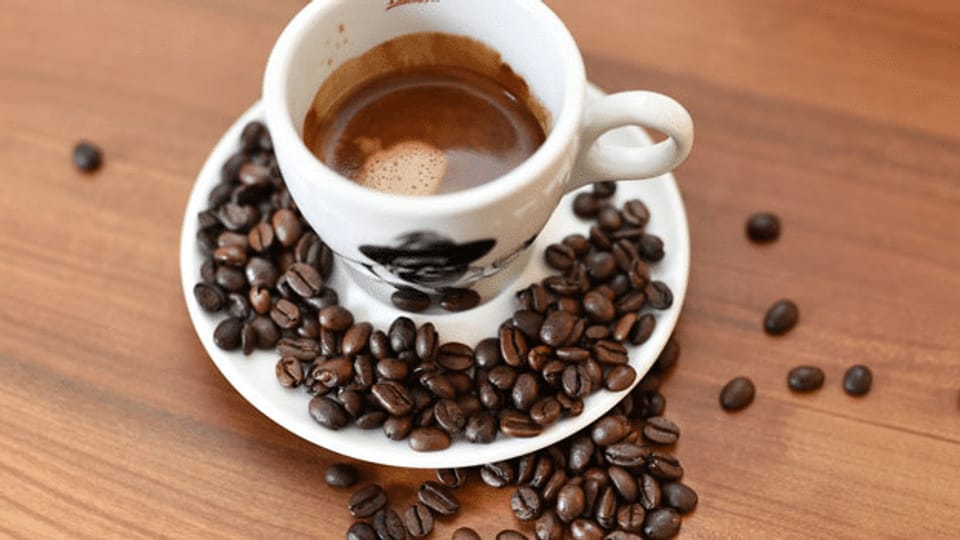 Arabica-Kaffee: Klimawandel bedroht Plantagen
