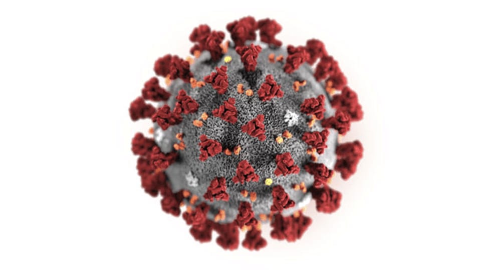 Coronavirus - nationale Antikörper-Teststrategie
