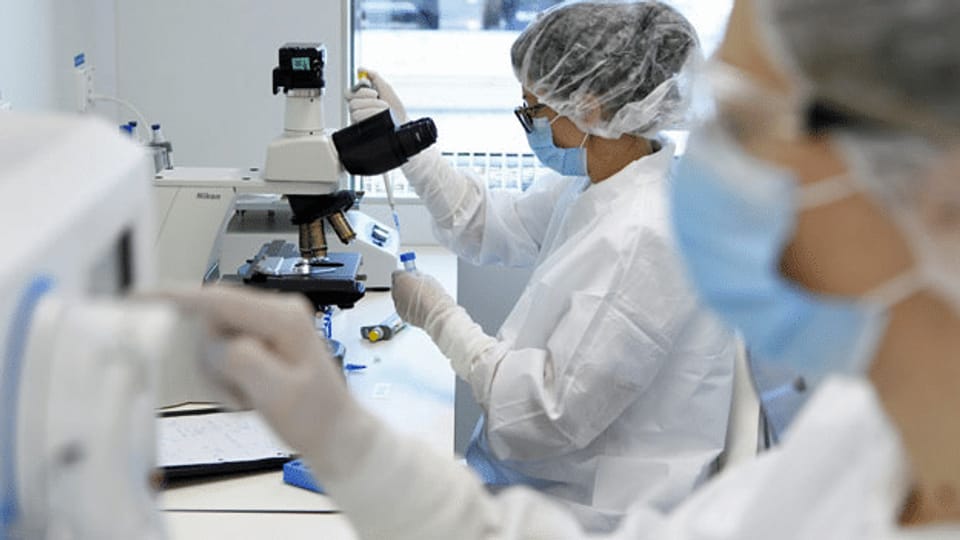 Bund will Tarife für Laboranalysen neu prüfen