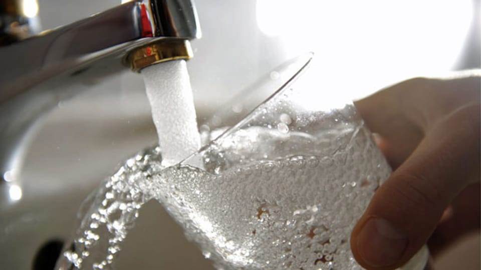 Bio Suisse sagt Nein zur Trinkwasser-Initiative