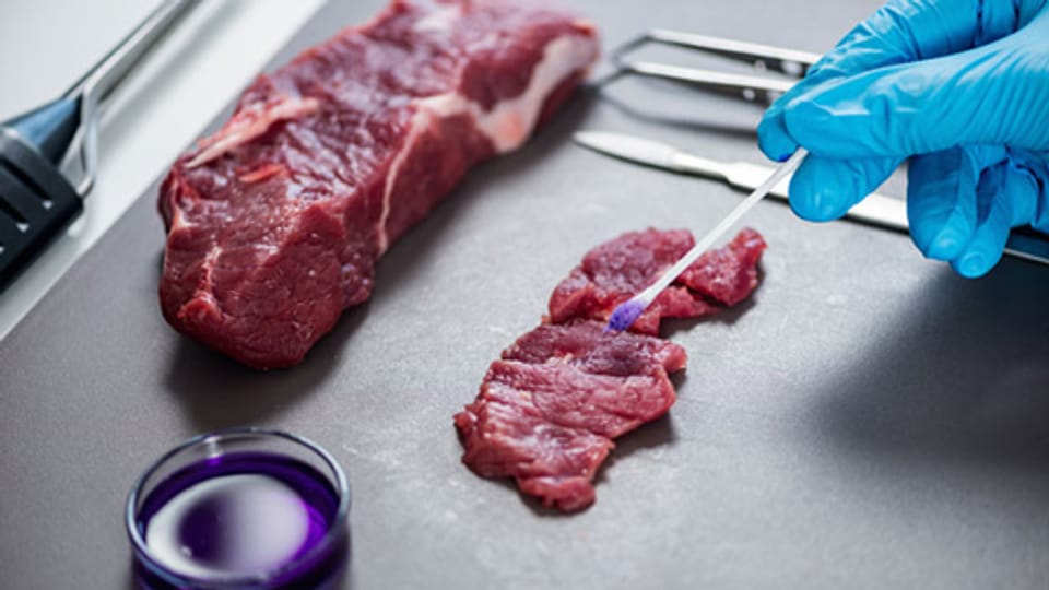 Fleisch aus dem Labor – ein Milliardengeschäft?