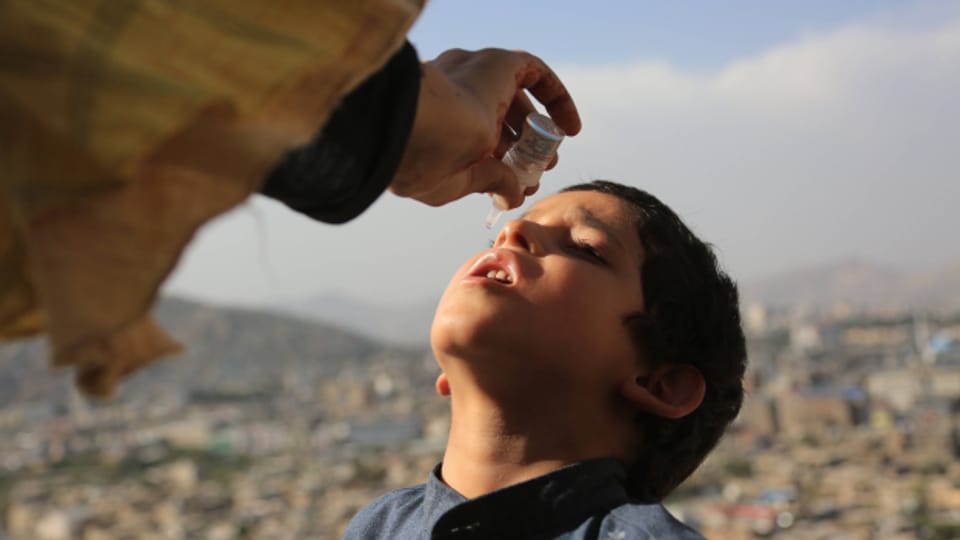Polio wieder auf dem Vormarsch