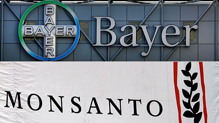 Bayer buhlt um US-Konzern Monsanto