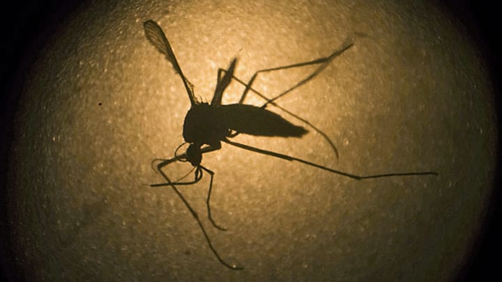 Zika-Virus: Ausbreitung und keine Ende?