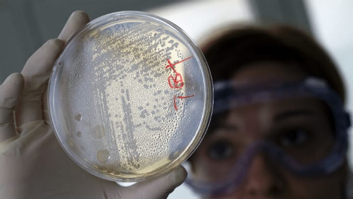 «Die Forscher haben eine Art Bakterien-WG entwickelt»
