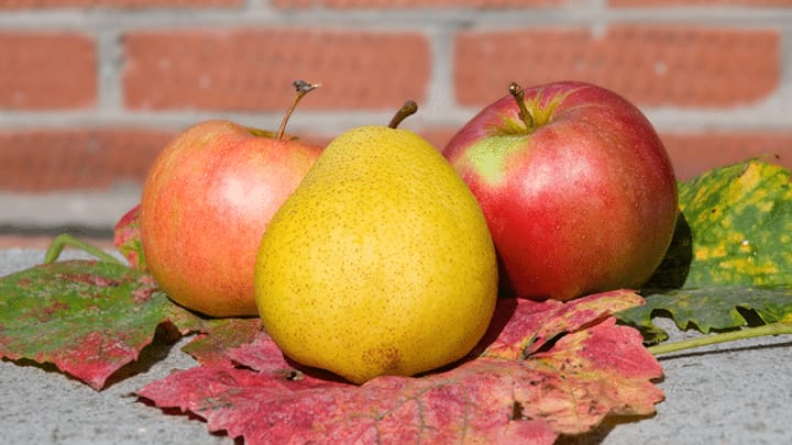 Sind Äpfel gesünder als Birnen?