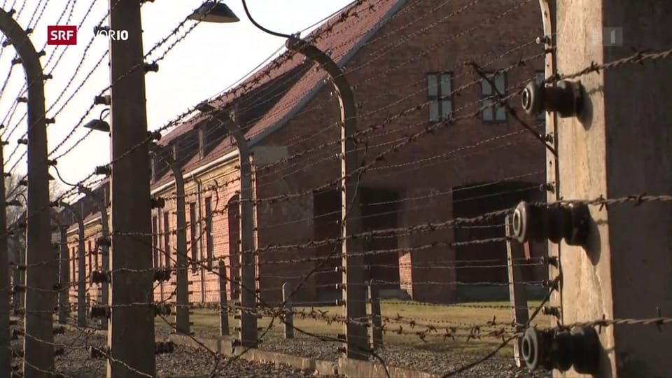 Aus dem Archiv: Gedenken an die Befreiung von Auschwitz