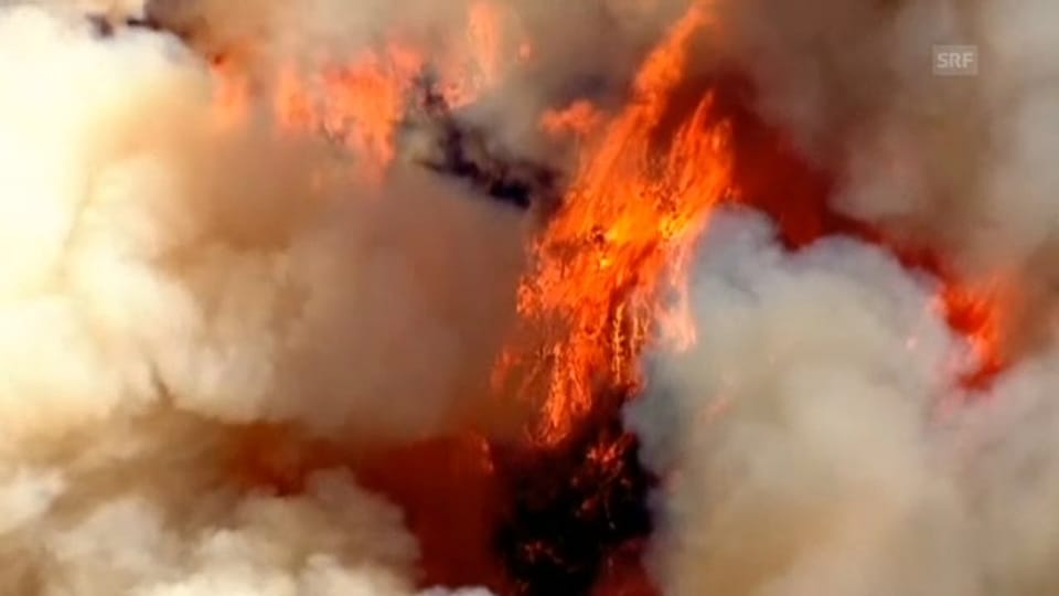 Luftbilder der Feuerbekämpfung in Texas (unkommentiert)