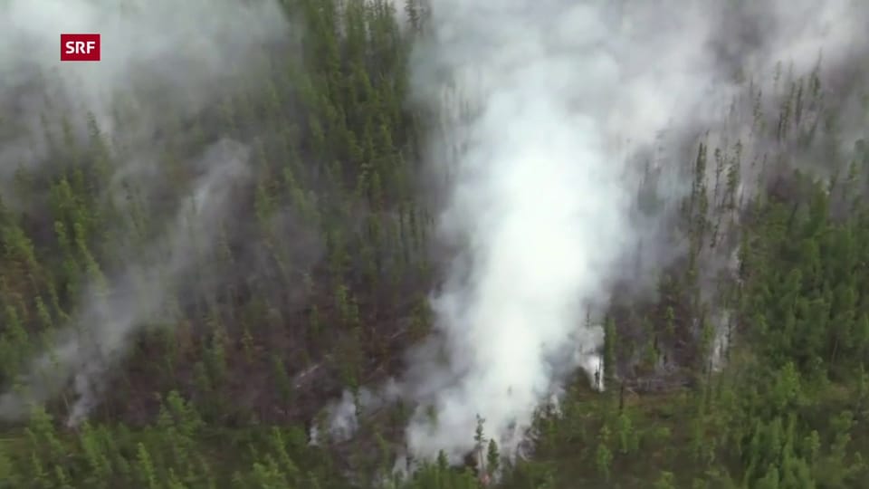 Militär kämpft gegen Waldbrände in Sibirien (unkommentiert)