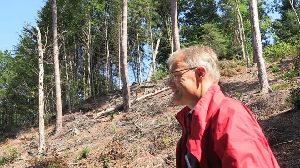 Bruno Röösli: «Wir stellen im Luzerner Wald eine Stresssituation fest»