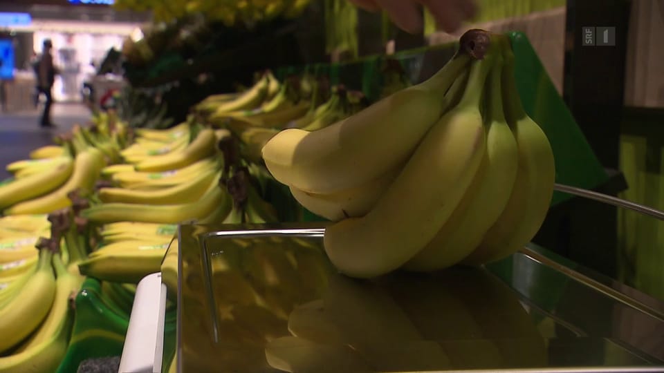 Aus dem Archiv: Fluch der Monokulturen – stirbt die Banane aus?