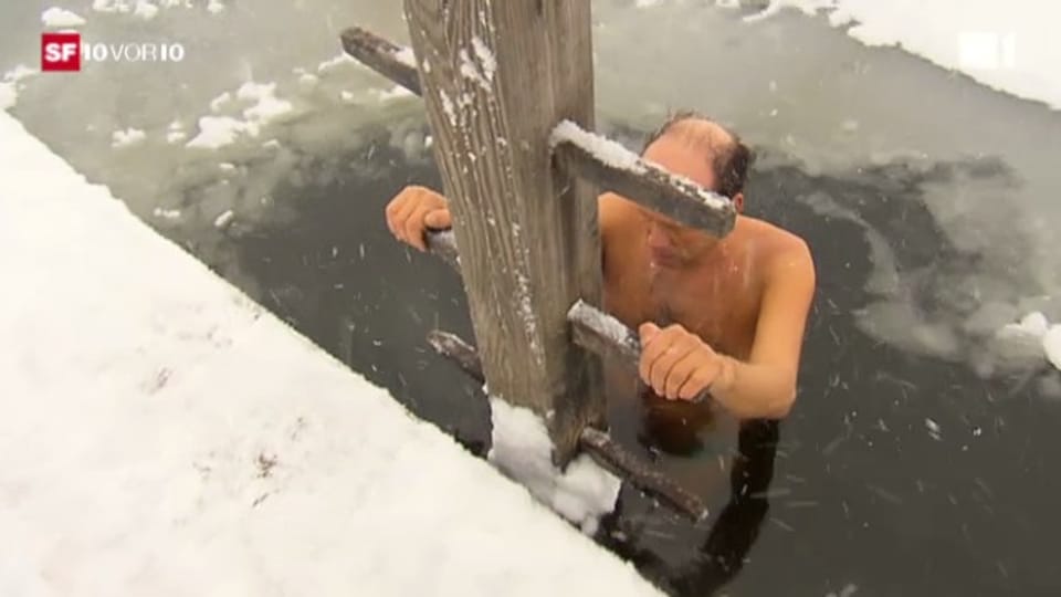 Februar 2012: Eisschwimmer, Landwirte, Schlittenhunde - die Kälte hat auch gute Seiten.