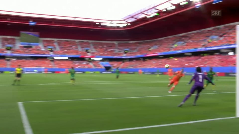 Die Highlights bei Niederlande - Kamerun