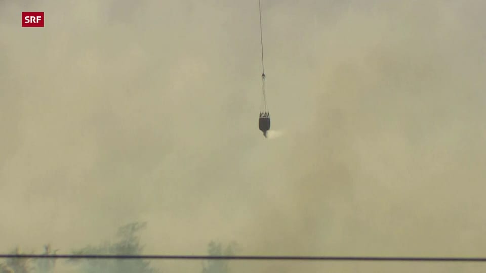 Aus dem Archiv: Waldbrände in Nova Scotia (Aufnahmen vom 01.06.23)