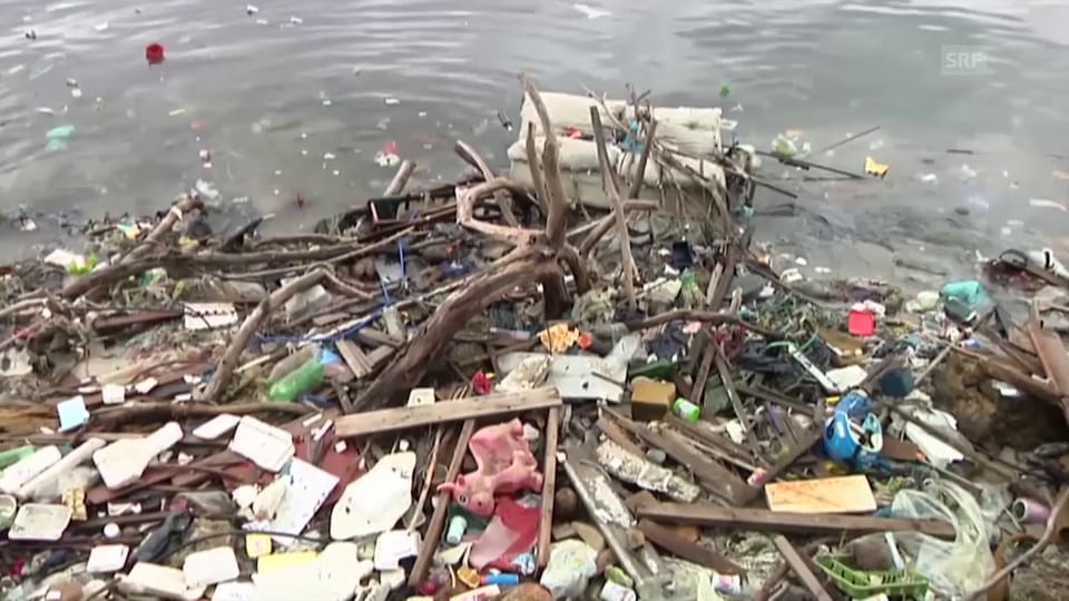 Starke Verschmutzung der Guanabara-Bucht (Quelle: SNTV)