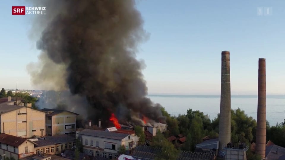 Feuer zerstört mehrere Hallen auf Industrieareal
