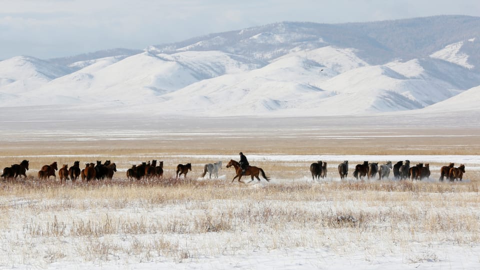 Gewalt und mystische Rituale bei den Reiterkriegern Südsibiriens