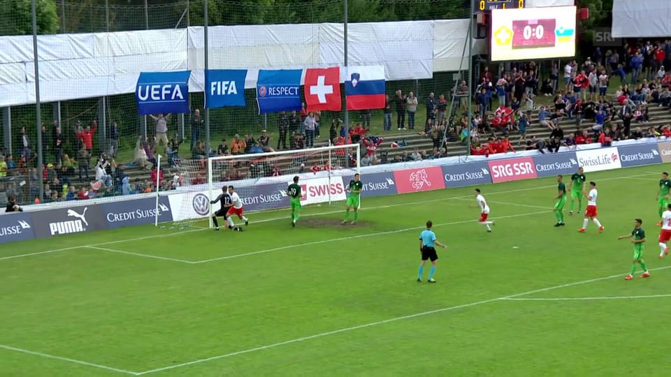 Die Tore bei Schweiz - Slowenien