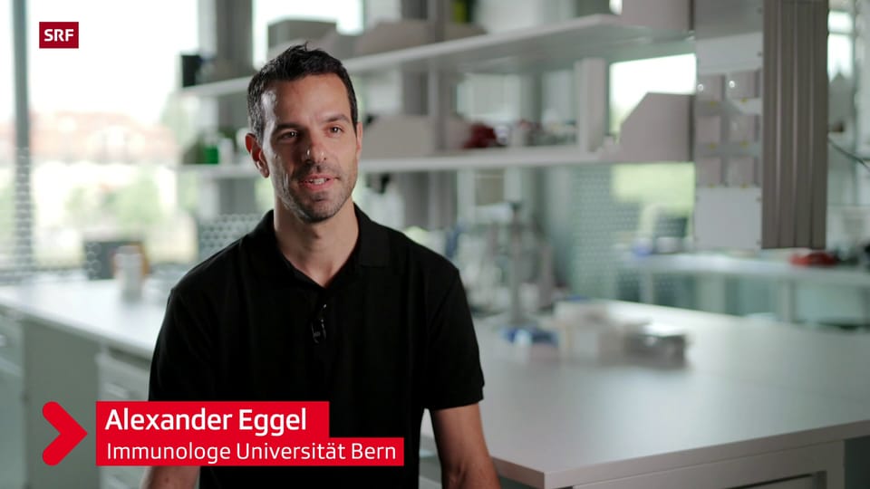 Alexander Eggel verlängert das Leben von Labormäusen