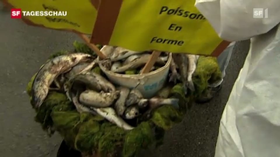 Protest-Aktion gegen Fischsterben im Doubs