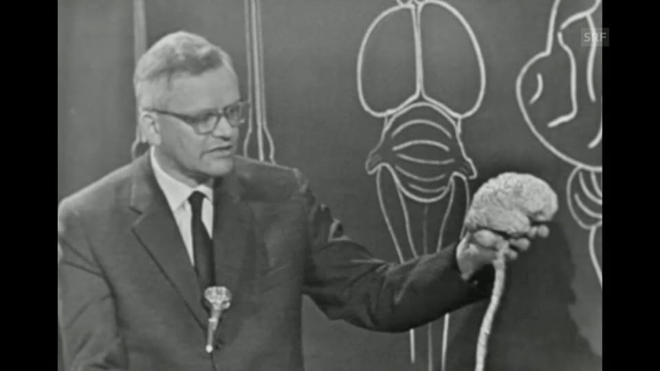  «Gian Töndury erklärt das Gehirn» (ganze Sendung), 13.2.1961