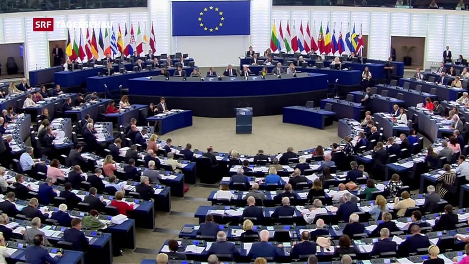 Europaparlament nimmt Internet-Giganten in die Pflicht