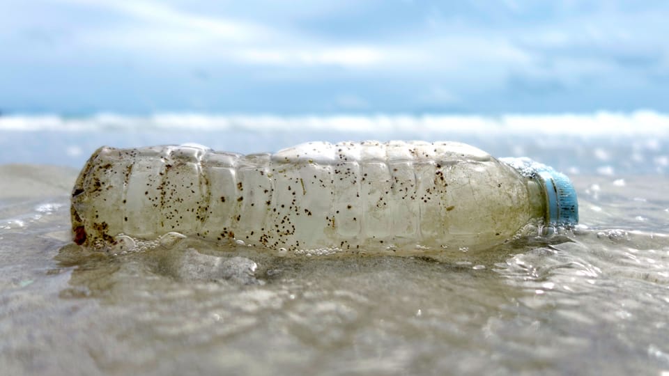 Plastikabfall im Meer: Wer ist schuld?